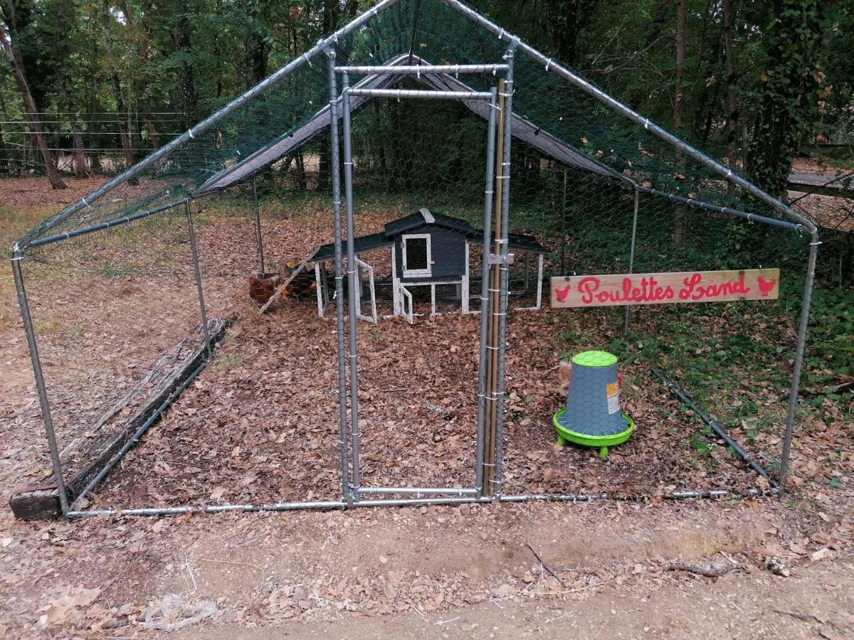Emplacement Tente Camping Car Saint-Aubin-de-Nabirat Екстер'єр фото